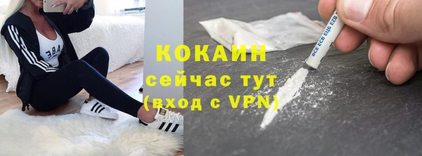 прущие грибы Алексин