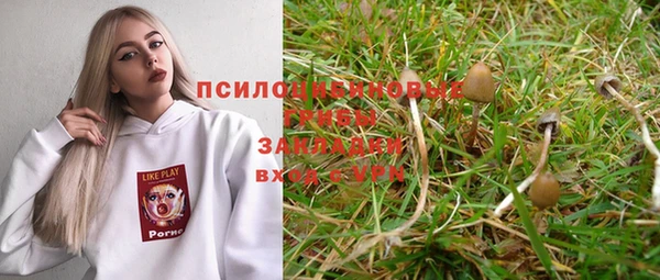 прущие грибы Алексин